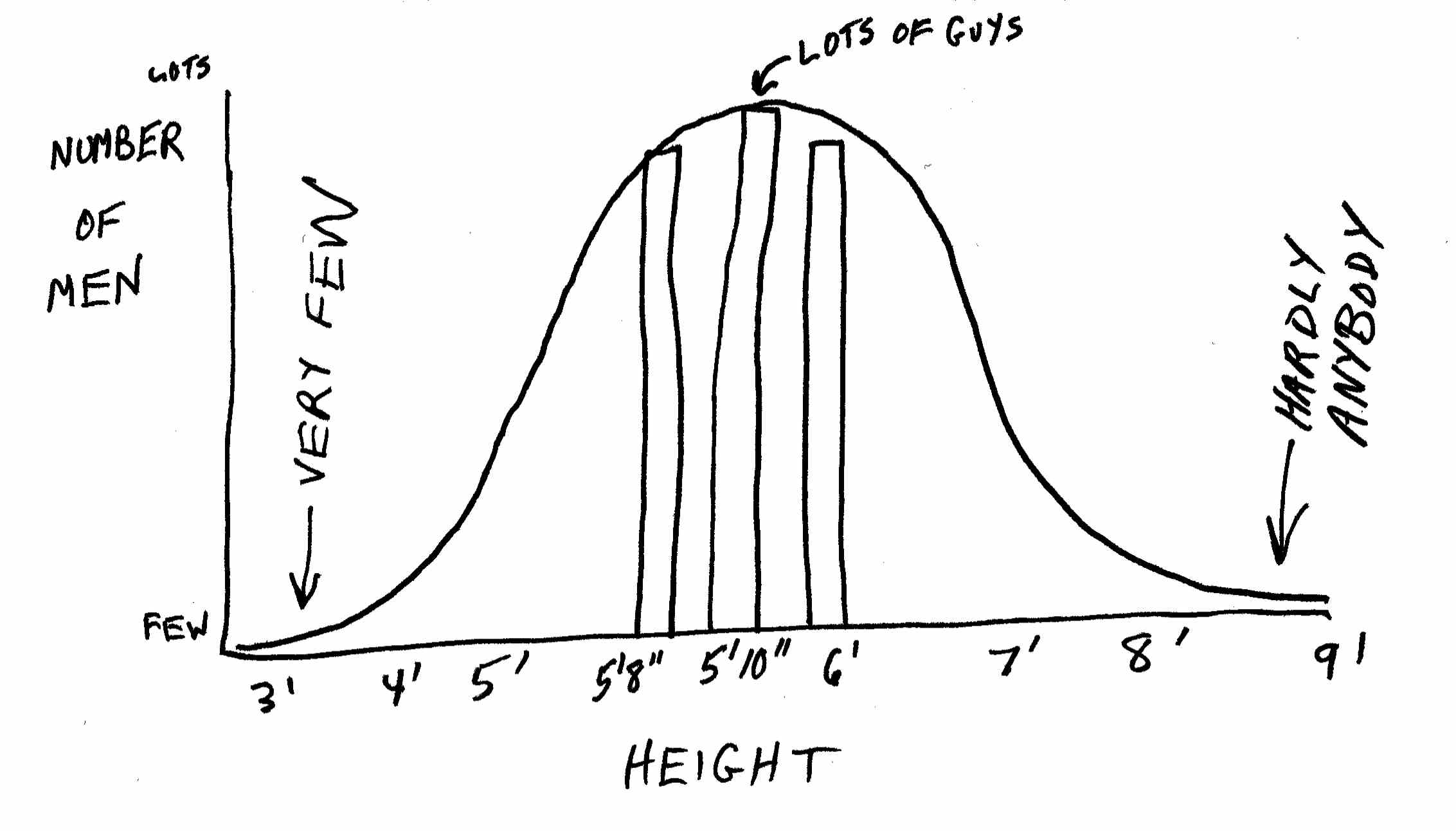 Seeking Patterns Through Time Hoovers World
